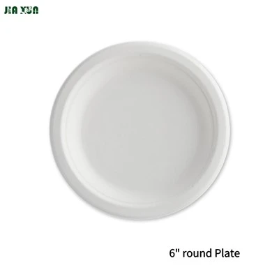 Bagasse rund tallerken