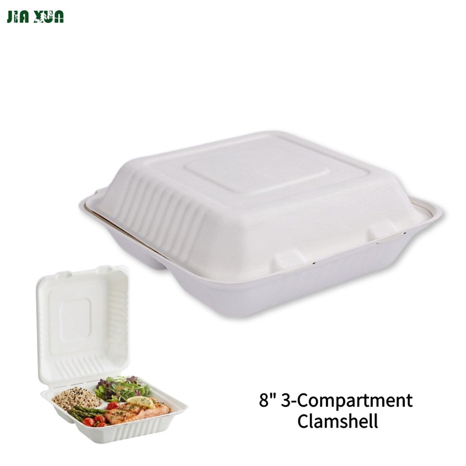 Sugarcane Clamshell Box